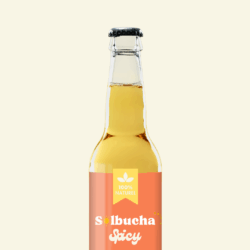 IMG_3647 Kombucha Turmeric & Pepper