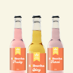 IMG_3653 Trio pack Kombucha